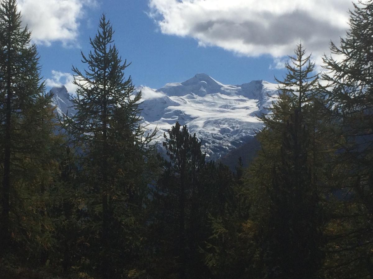 Ferienhaus Alea Saas-Grund Bagian luar foto