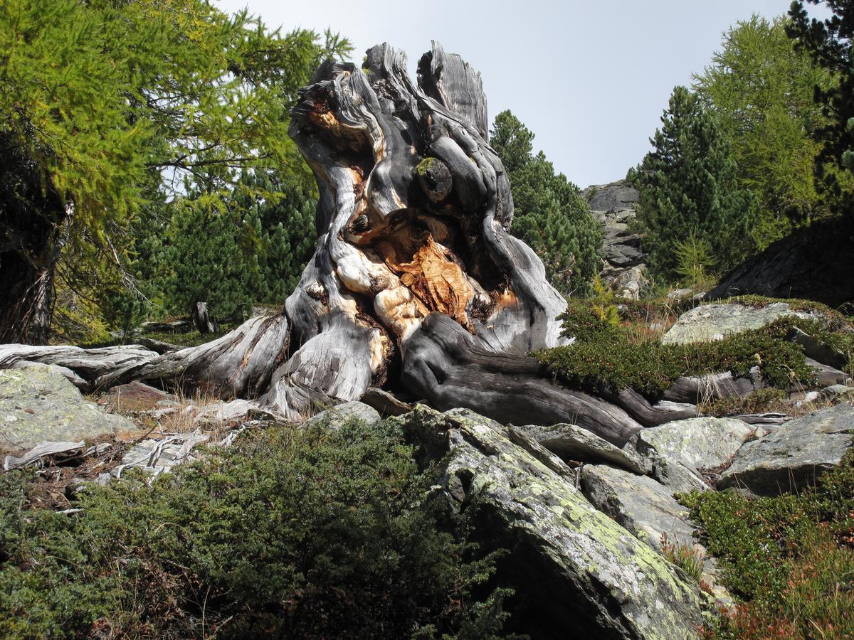 Ferienhaus Alea Saas-Grund Bagian luar foto