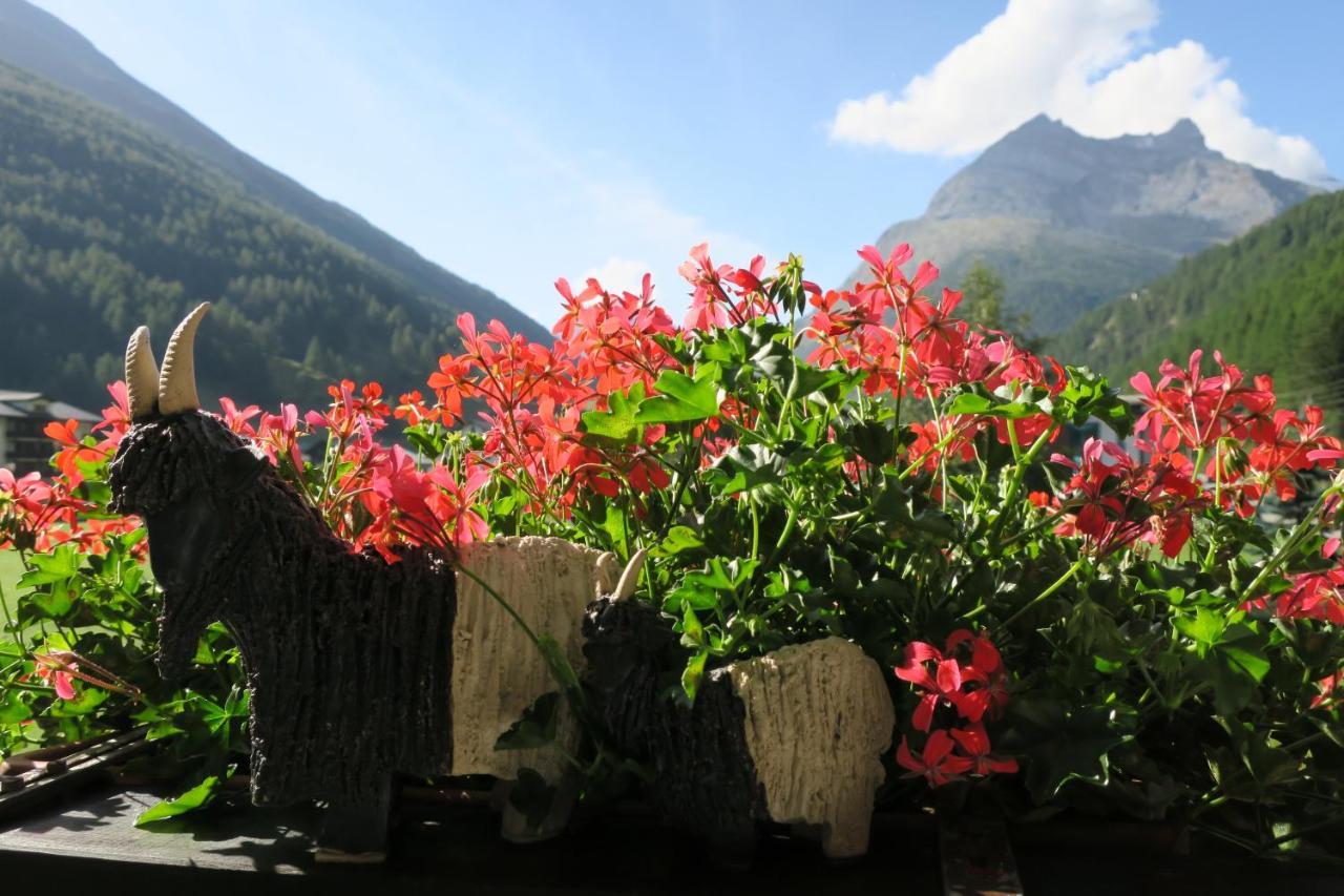 Ferienhaus Alea Saas-Grund Bagian luar foto